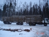 logging-gallery-hd8-euro3-84-40-141